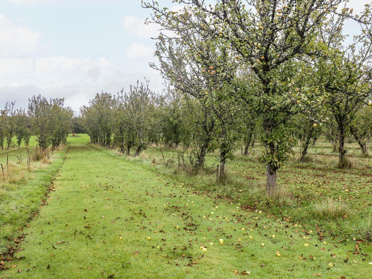 Winkleigh Braeburn Lodge المظهر الخارجي الصورة